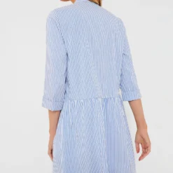 Blue Stripe Royal Shirt Dress -Outlet Toggify Store kVUxAcR56bdhAKX5W02Tk7wjN0oNBISQ 1 scaled